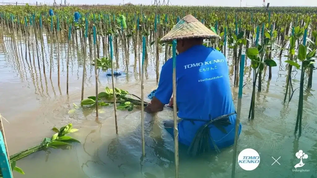 tomo kenko tanam pohon di pantai mangunharjo semarang