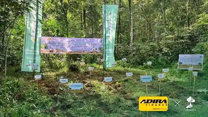 penanaman pohon lindungihutan adira finance di taman nasional way kambas