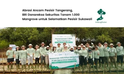 penanaman pohon mangrove pt bri danareksa sekuritas