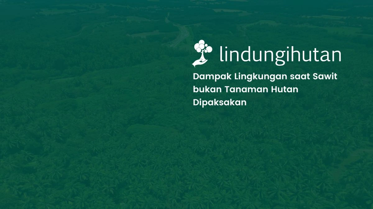 sawit bukan tanaman hutan