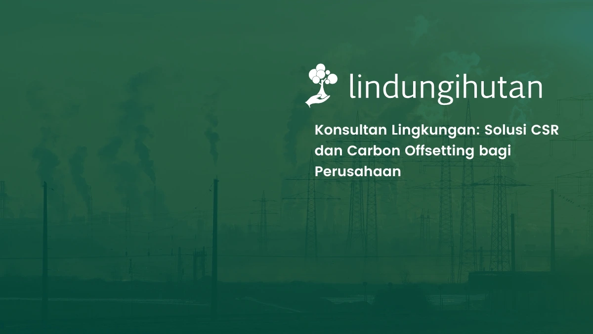 Konsultan lingkungan solusi CSR dan Carbon Offsetting
