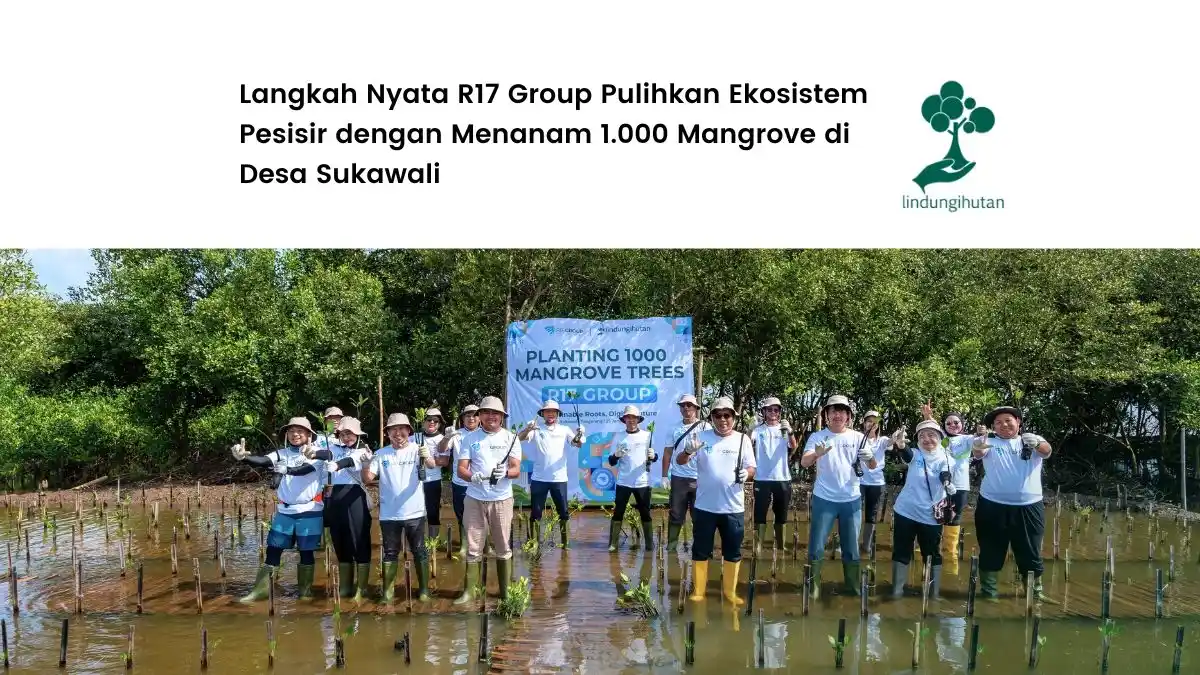 penanaman mangrove r17 group di desa sukawali