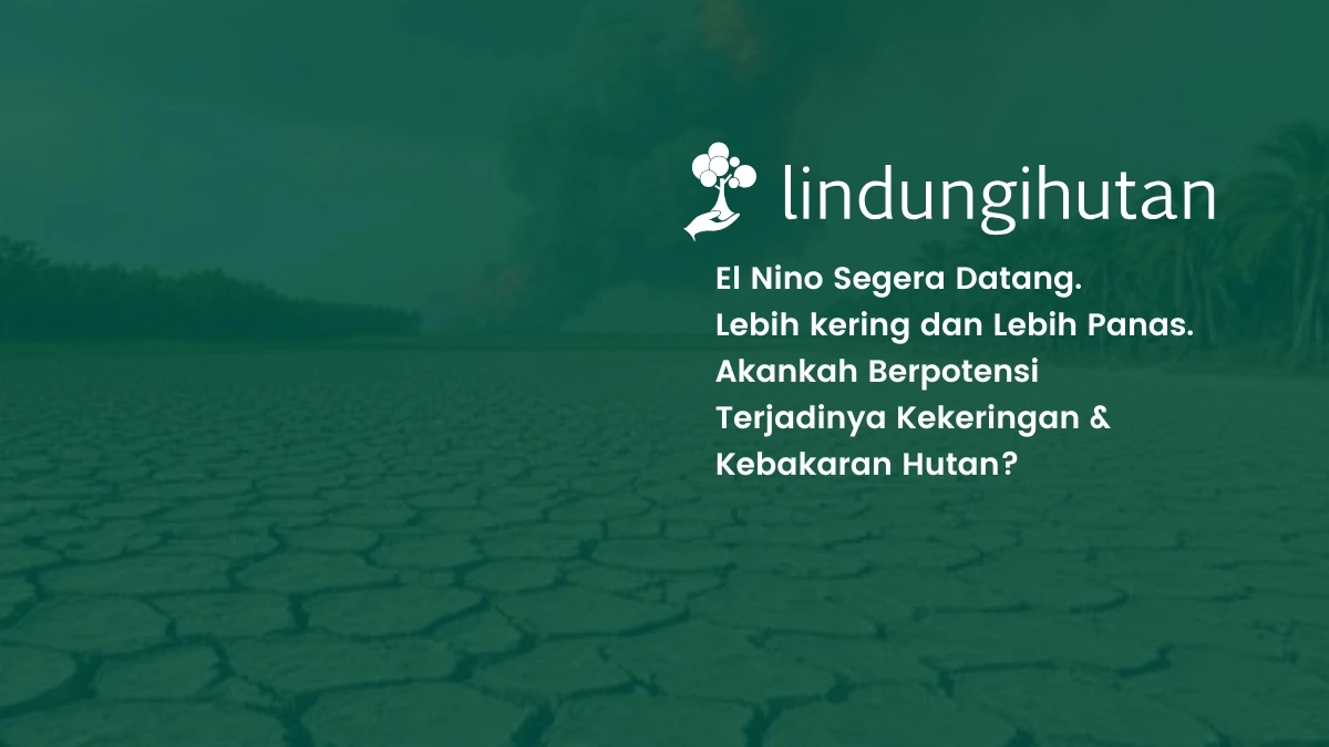 fenomena El Nino X LindungiHutan musim kemarau