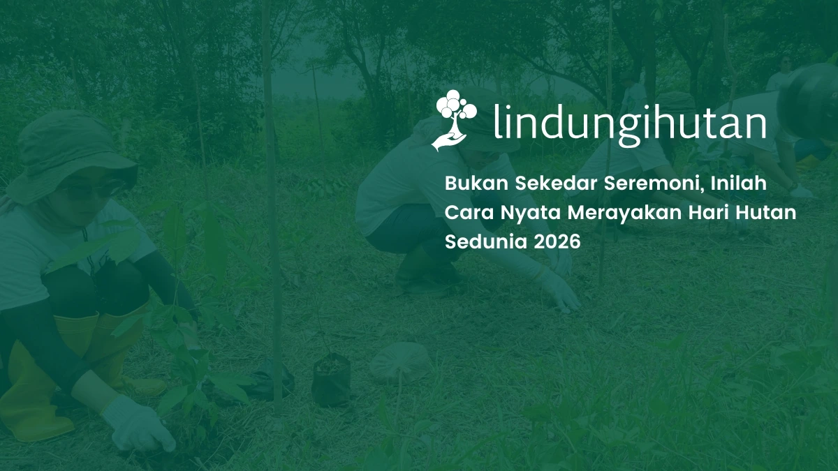 Hari Hutan Sedunia 2026