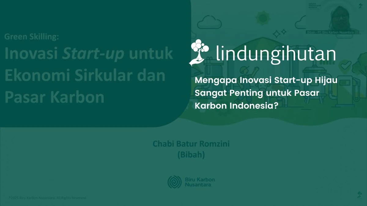 Inovasi pasar karbon melalui startup hijau