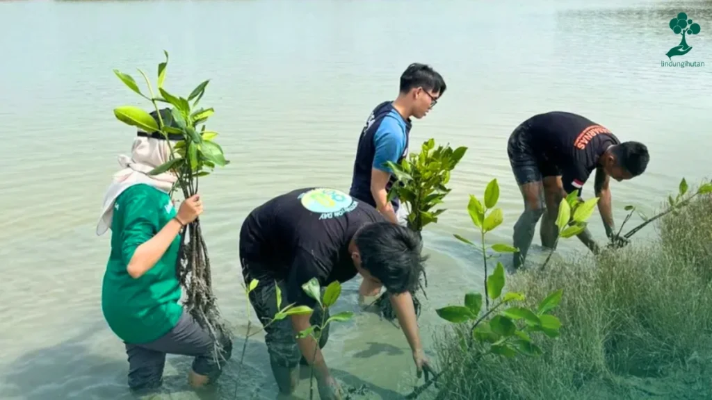 Reforestathon lindungihutan hari hutan sedunia 2026