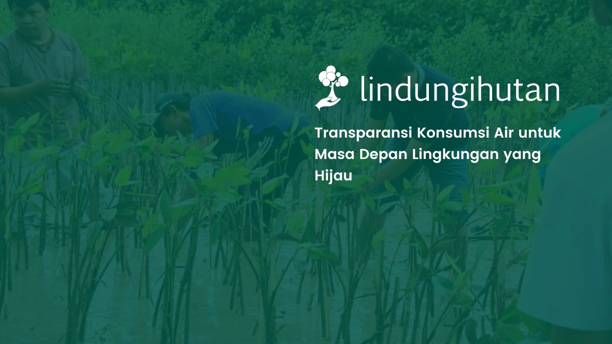 Water Footprint LindungiHutan