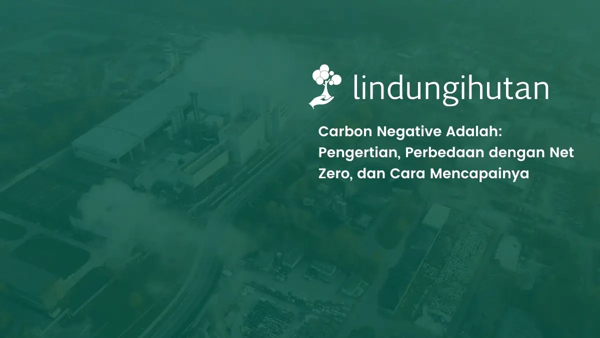 apa itu carbon negative_11zon