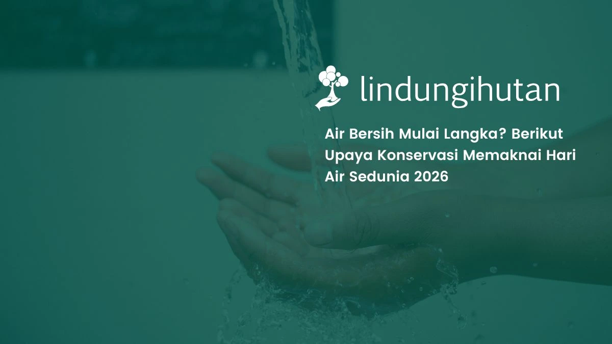hari air sedunia 2026
