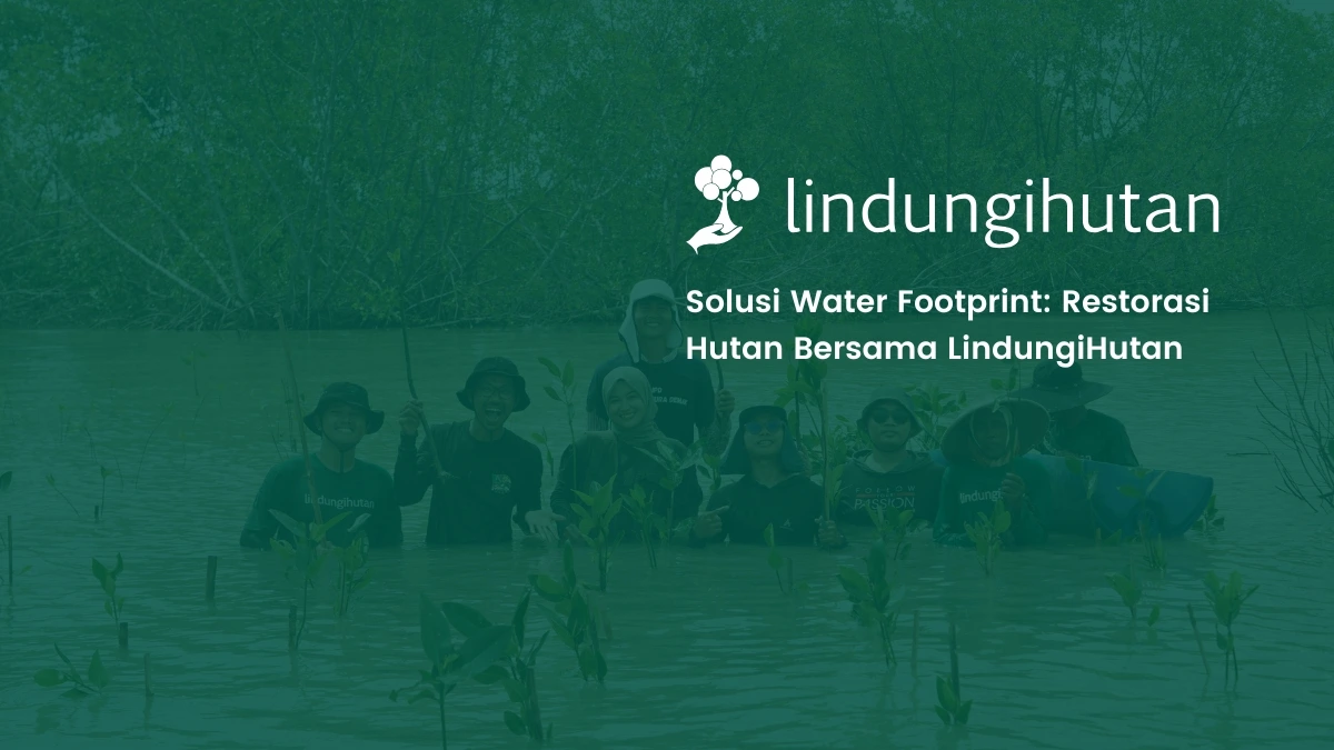 cara mengimbangi Water Footprint