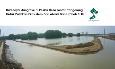 Desa lontar, kecamatan kemiri