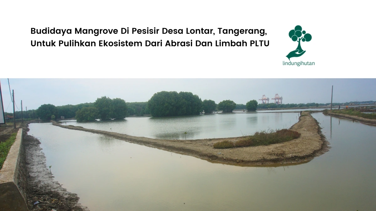 Desa lontar, kecamatan kemiri
