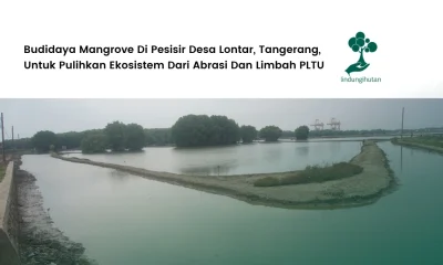 OPS Lokasi Baru_ Desa Lontar, Kecamatan Kemiri