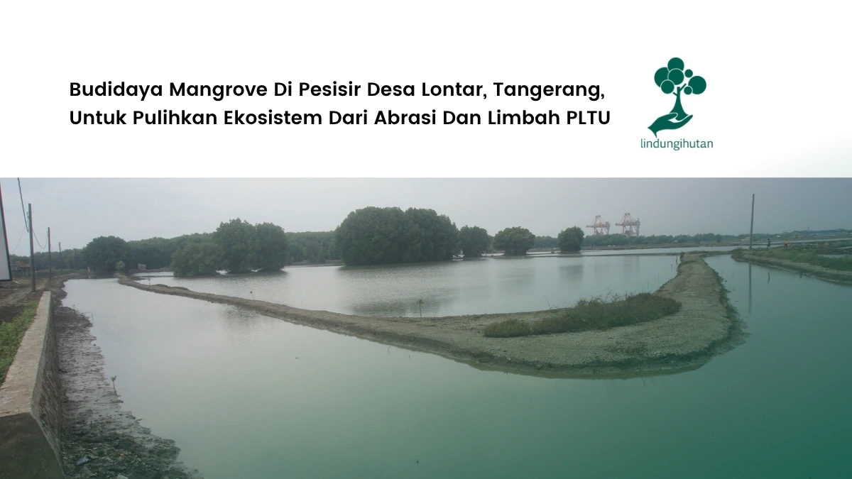 OPS Lokasi Baru_ Desa Lontar, Kecamatan Kemiri