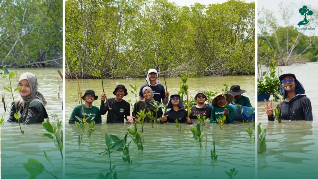 Reforestathon Desa Bedono_Menanam Mangrove