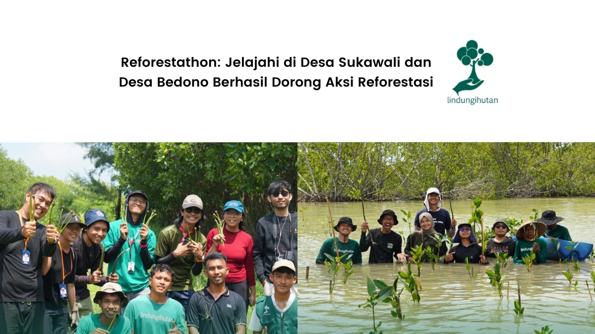 Reforestathon Jelajahi lindungihutan 2026