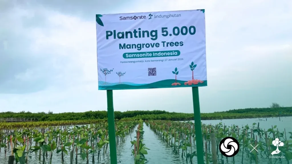Samsonite Indonesia menanam 5000 mangrove