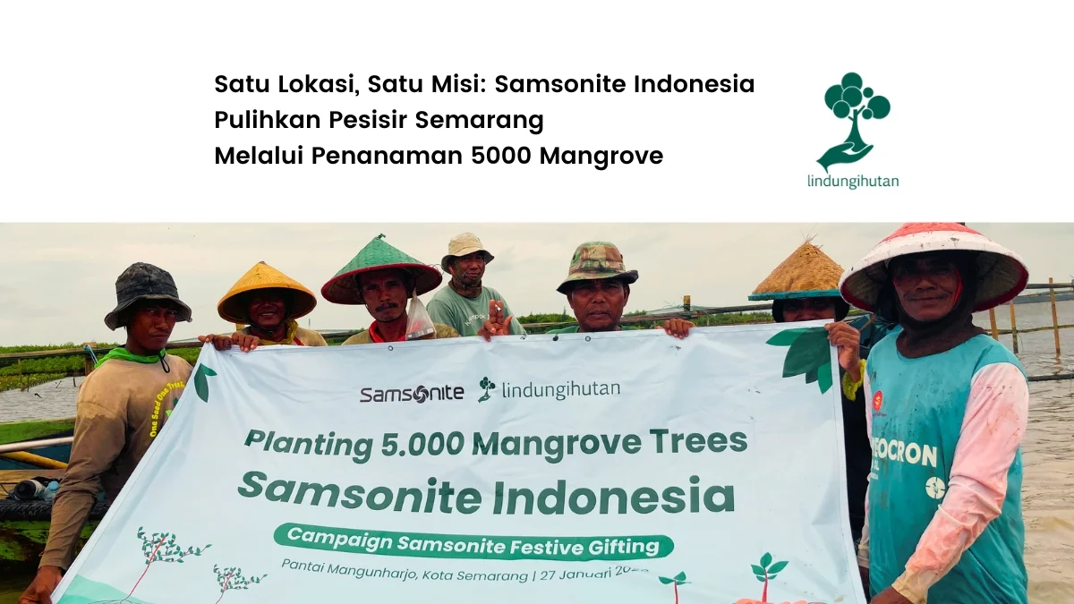 Samsonite Indonesia tanam pohon di Pantai Mangunharjo Semarang