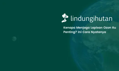melindungi lapisan ozon