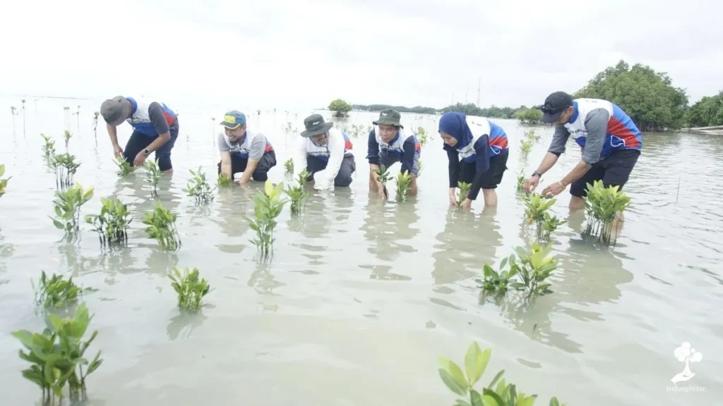 program csr lingkungan perusahaan