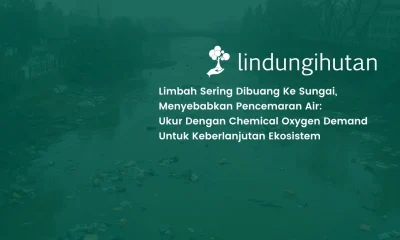 Chemical Oxygen Demand
