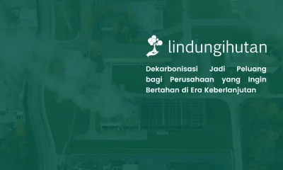 Dekarbonisasi