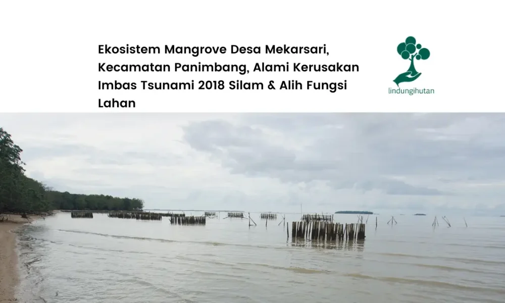 Desa Mekarsari Kecamatan Panimbang
