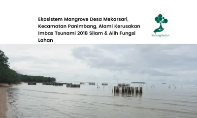 Desa Mekarsari Kecamatan Panimbang