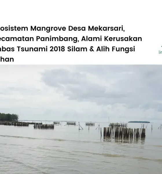 Desa Mekarsari Kecamatan Panimbang