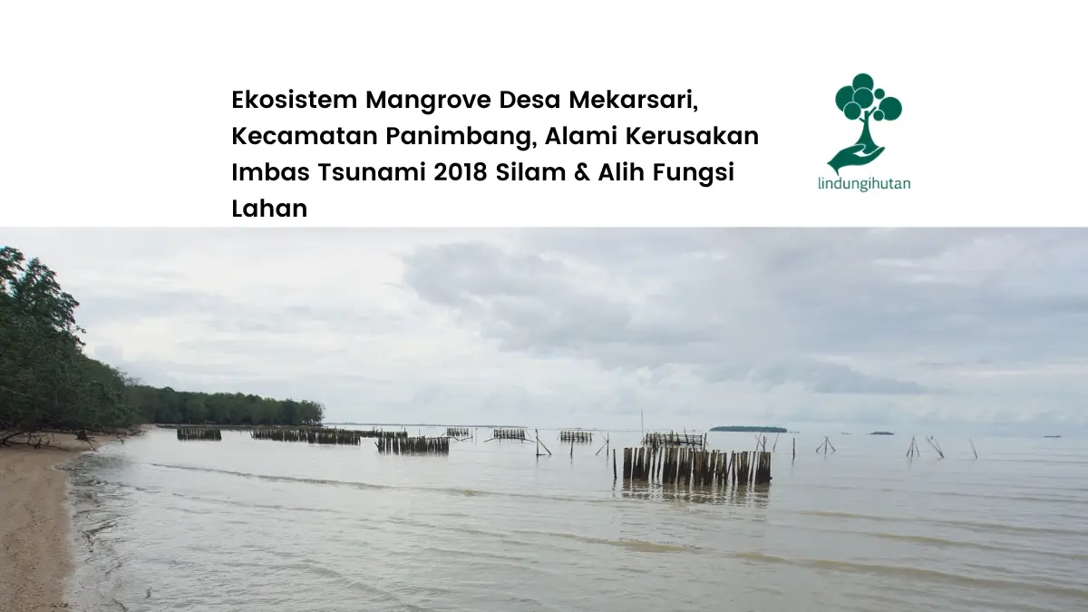 Desa Mekarsari Kecamatan Panimbang