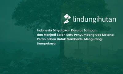 Indonesia Darurat Sampah, Gas Metana Jadi Ancaman Peran Pohon sebagai Solusi