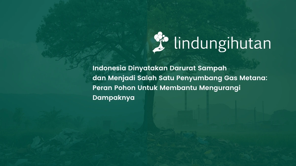 Indonesia Darurat Sampah, Gas Metana Jadi Ancaman Peran Pohon sebagai Solusi