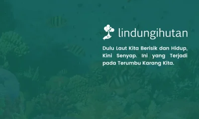 Reef Soundscape