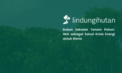 Strategi nature based solutions