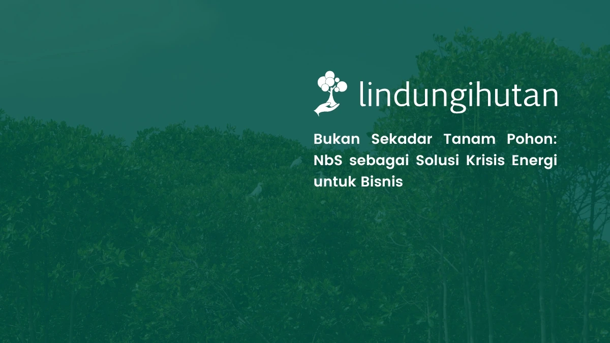 Strategi nature based solutions