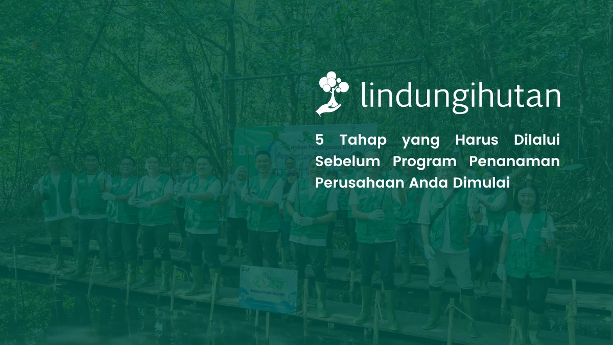 cara menyusun feasibility study