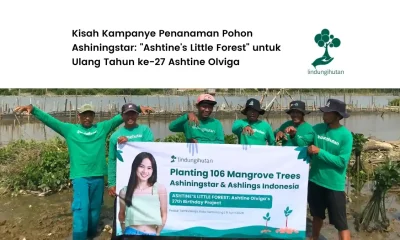 cerita campaigner Ashiningstar