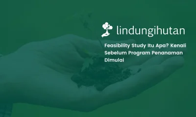 feasibility study