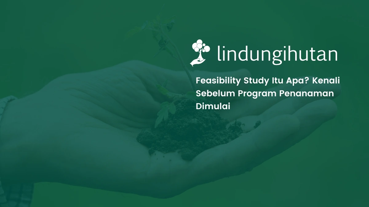 feasibility study