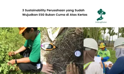 portofolio sustainabilitree sustainability perusahaan