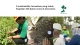 portofolio sustainabilitree sustainability perusahaan