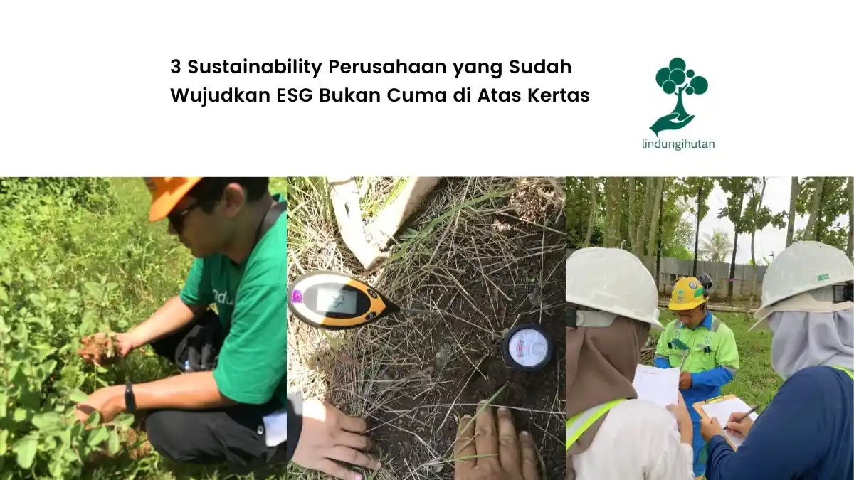 portofolio sustainabilitree sustainability perusahaan