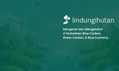 Blue carbon, green carbon, blue economy