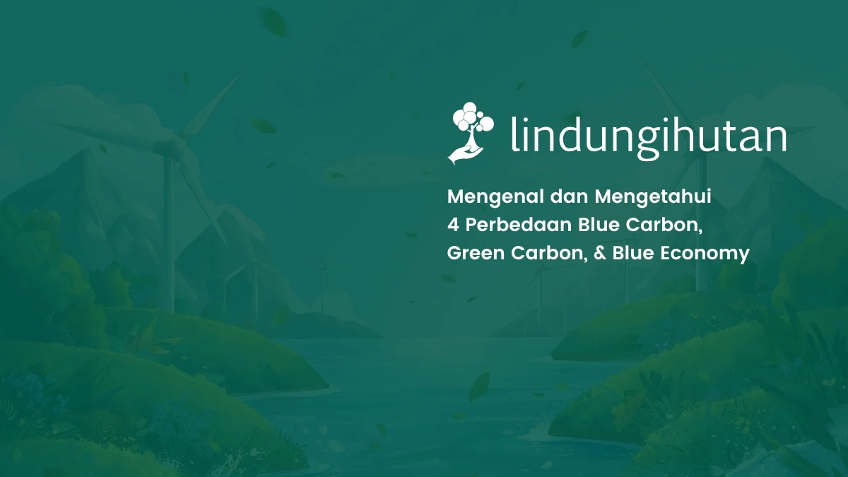 Blue carbon, green carbon, blue economy