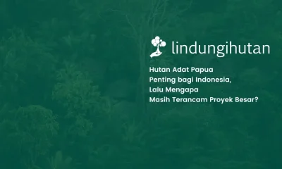 Hutan Adat Papua