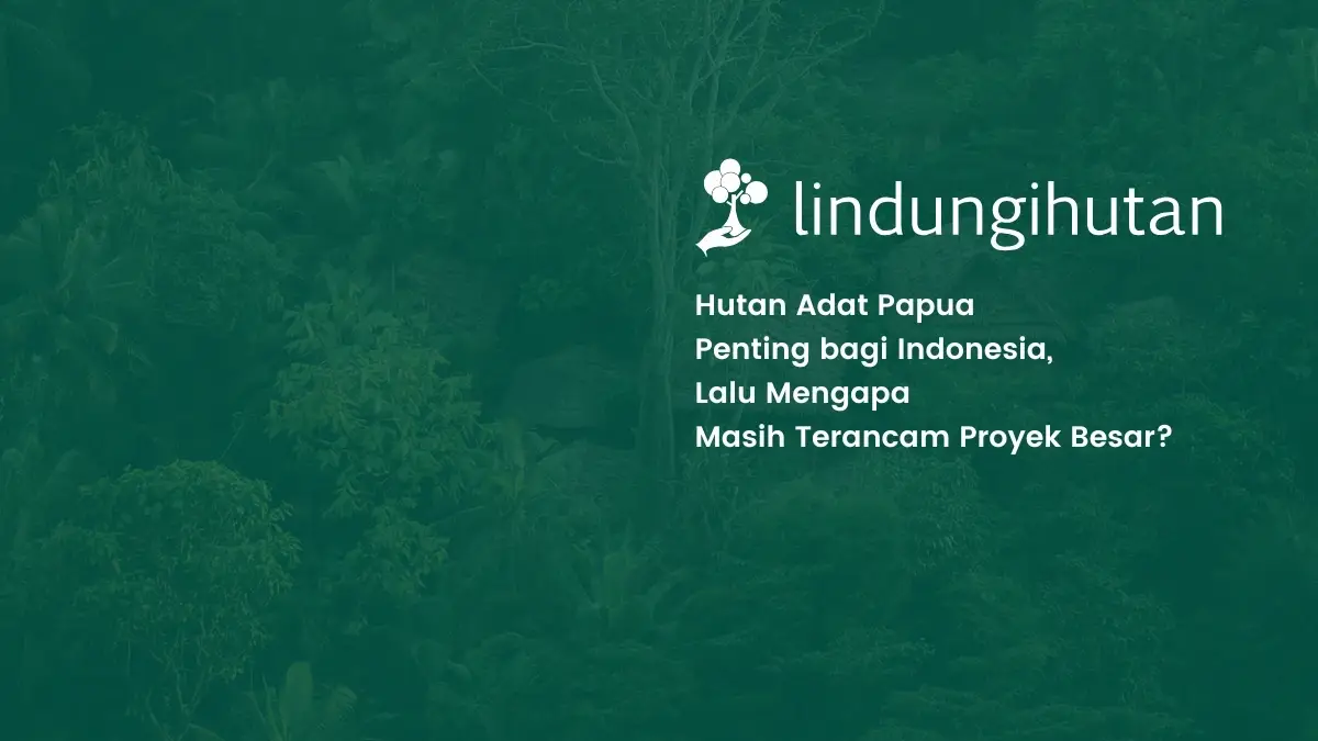 Hutan Adat Papua