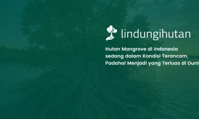 Hutan Mangrove Indonesia