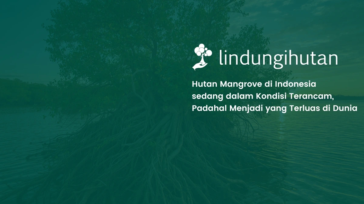 Hutan Mangrove Indonesia