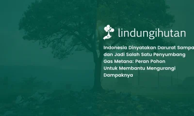 Indonesia Darurat Sampah, Gas Metana Jadi Ancaman_ Peran Pohon sebagai Solusi