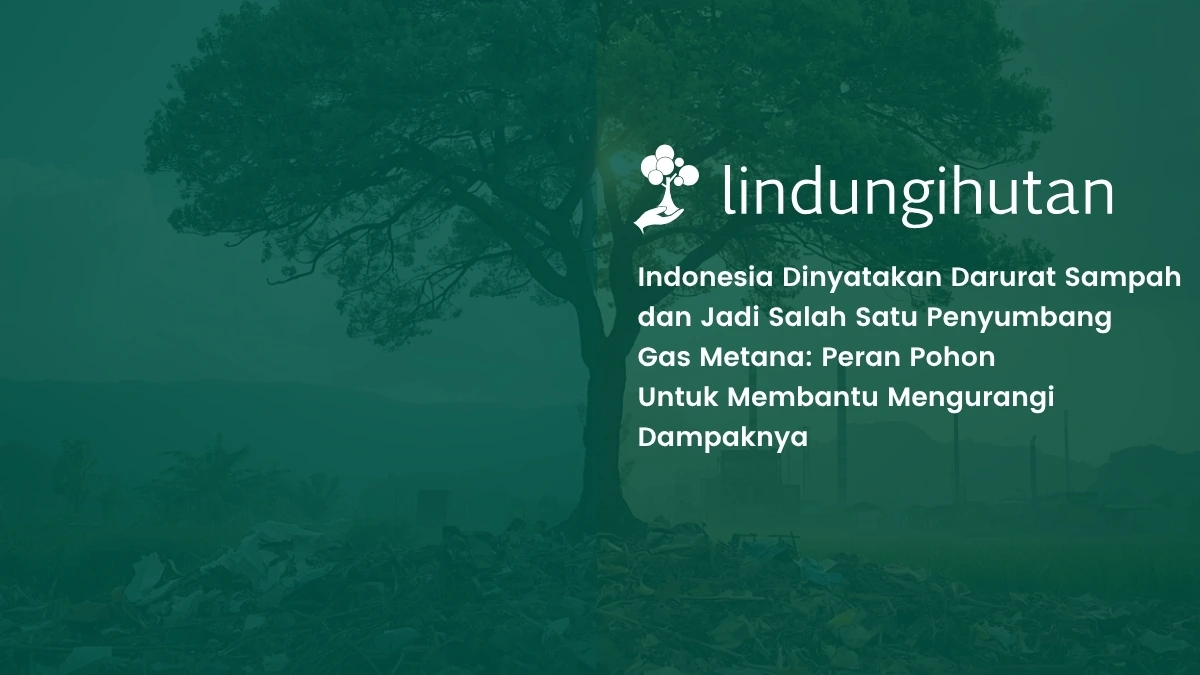 Indonesia Darurat Sampah, Gas Metana Jadi Ancaman_ Peran Pohon sebagai Solusi